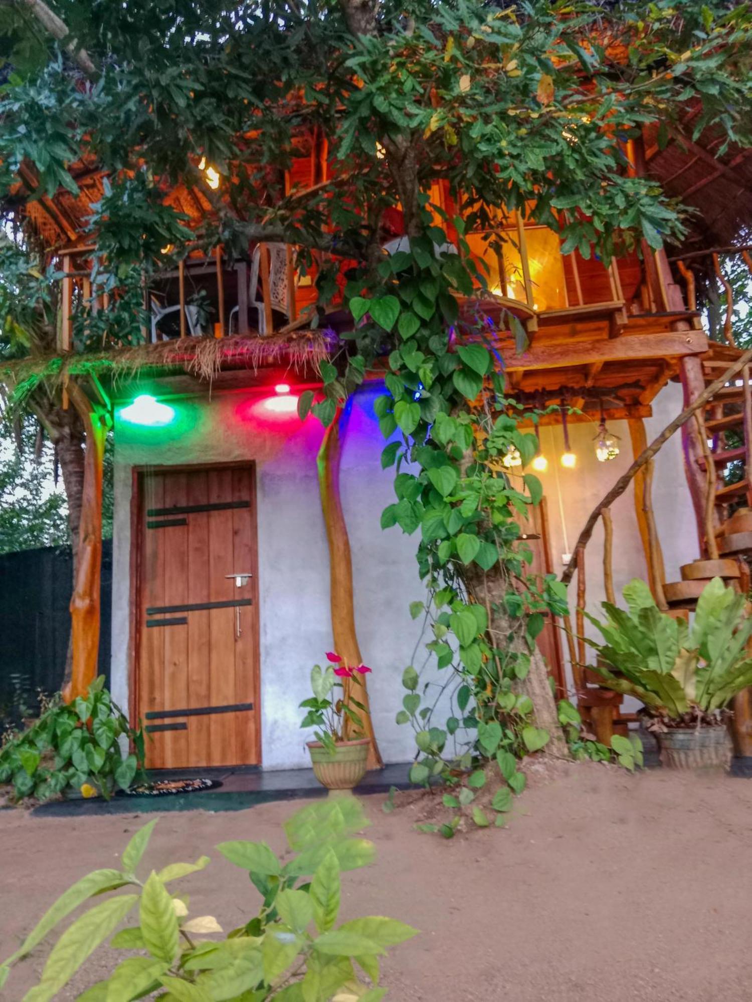 The Banda' Eco Villa Sigiriya Luaran gambar